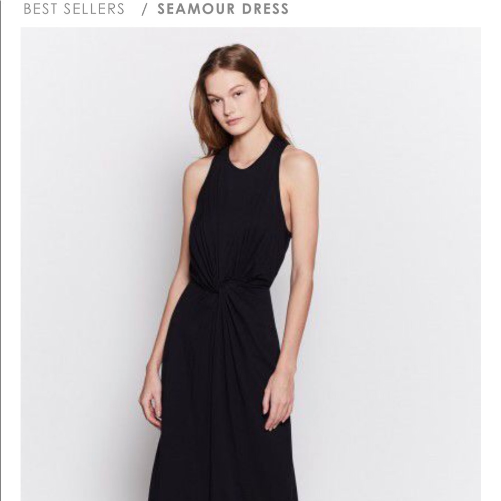 Joie Seamour Dress worn once!